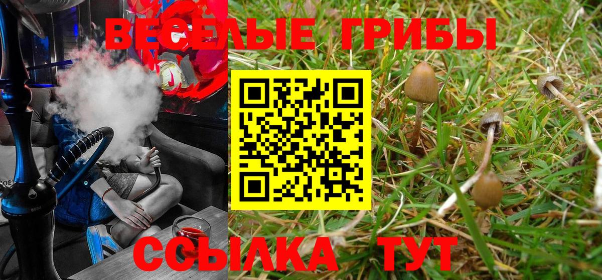 Лабытнанги  Галлюциногенные грибы Psilocybe  Вход с VPN 