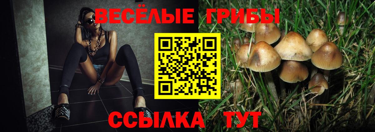 Псилоцибиновые грибы Psilocybine cubensis Лабытнанги